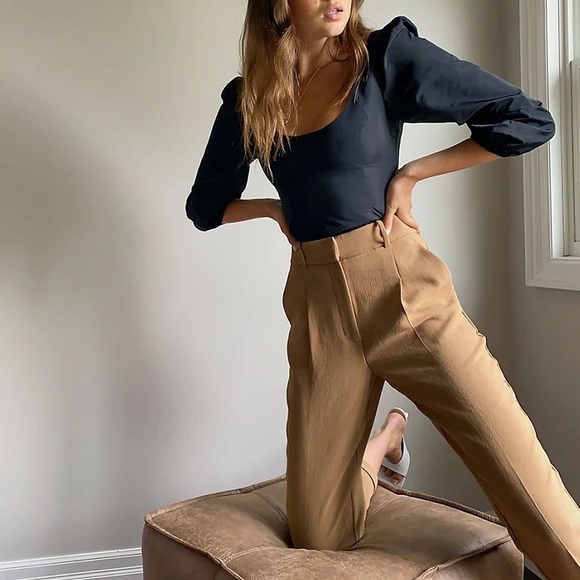 Aritzia Pants - Wilfred Pleated Trousers Constant Camel